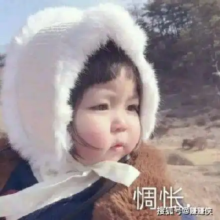 可爱搞笑的热门表情包图片  可爱搞笑的热门表情包图片