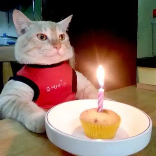 今天你的头像换了没  今天你的头像换了没