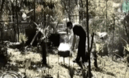 搞笑gif愚人节整人需谨慎,不是每个人都是那么的幸运  搞笑gif愚人节整人需谨慎,不是每个人都是那么的幸运