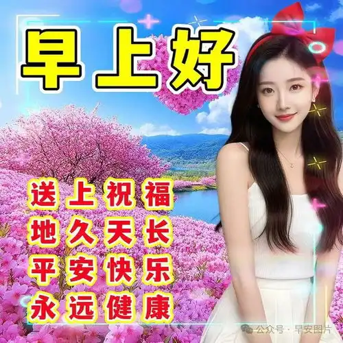  2024年8月25日周日精选早安祝福图片,雨过菊花香,又感秋风凉早安祝福美图分享给您网易订阅