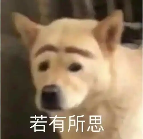  可爱又沙雕搞笑文案来啦