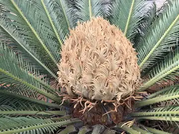 抽水烟筒图片素材下载摄影素材素材下的其他摄影图片素材 抽水烟筒图片素材下载摄影素材素材下的其他摄影图片素材