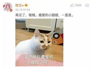  来不及告别,这只8岁的表情包回喵星了