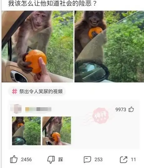  搞笑图片大合集,笑的我呛了一口水