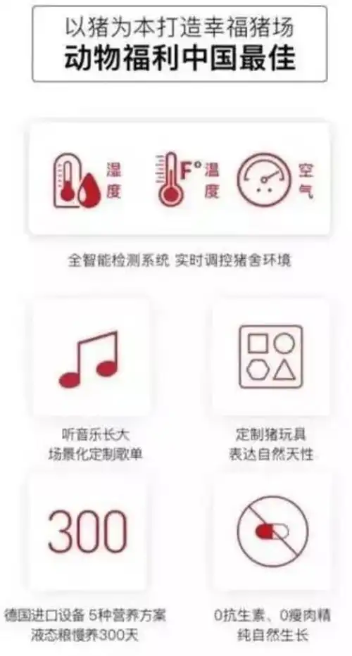  13家猪企被吃上市后,中国猪肉开始高精尖