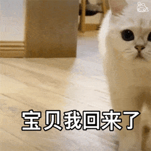  沙雕表情包敲好玩