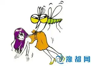  什么血型最招蚊子