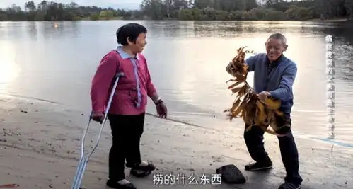 江苏小伙将患癌父亲骗到国外,从4200米高空跳伞,结局令人泪目  江苏小伙将患癌父亲骗到国外,从4200米高空跳伞,结局令人泪目