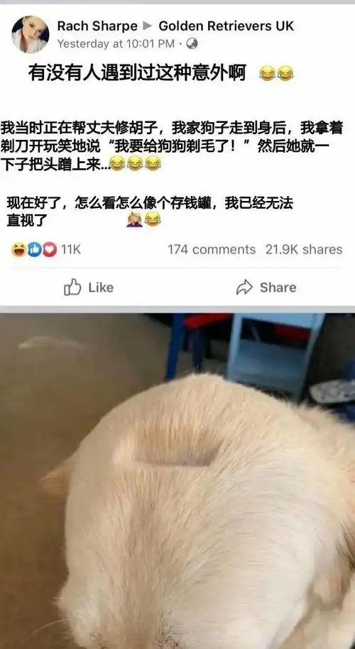  搞笑图片开心一刻那一夜,因为喝醉了酒没有回家
