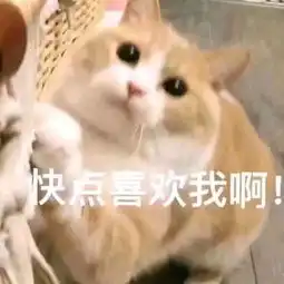  抖音潜台词版表情包大全全套蘑菇头扎辫话外音分享