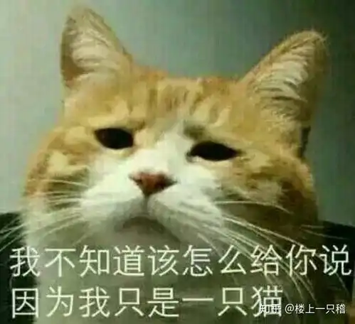 点子表情包狗狗