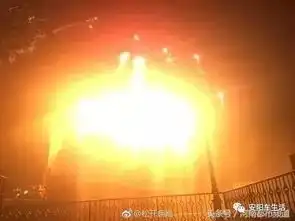  上海迪士尼着火了网友晒照片迪士尼烟花现场,米奇看了想去灭火
