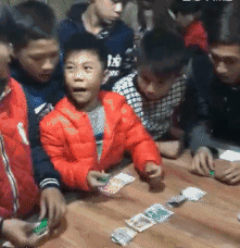  搞笑gif狗你这偷得有点过分了,我还没瞎