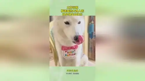 太好玩啦,榴莲蛋糕太馋人啦,祝小狗生日快乐  太好玩啦,榴莲蛋糕太馋人啦,祝小狗生日快乐