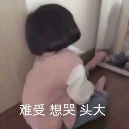 套路表情包一套猪宰客