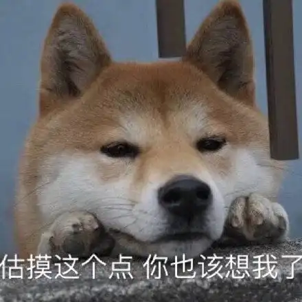 表情包谁想你