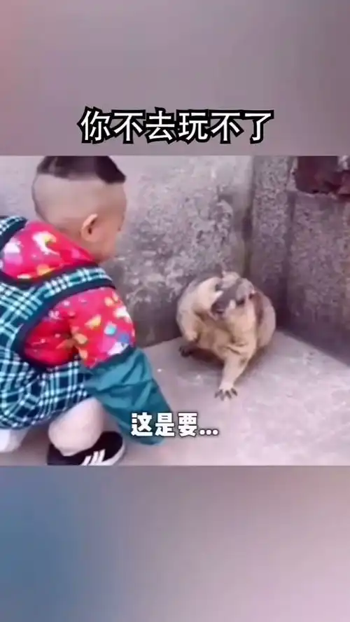  这老鼠不简单啊米老鼠搞笑