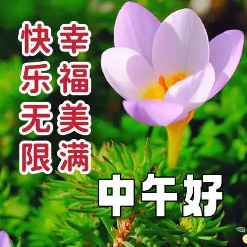 中午好,午安温馨短句子,让夏天的风景,送你鸟语花香让我的问候,送你幸福安康快乐清晨祝福网易订阅