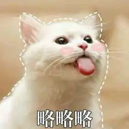  你家猫咪不温柔你错了,也许它只是对你不温柔