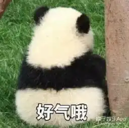  体育精神不好意思,他们没有