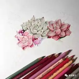  从小白到大神,努力画画几年,她的彩铅美翻了