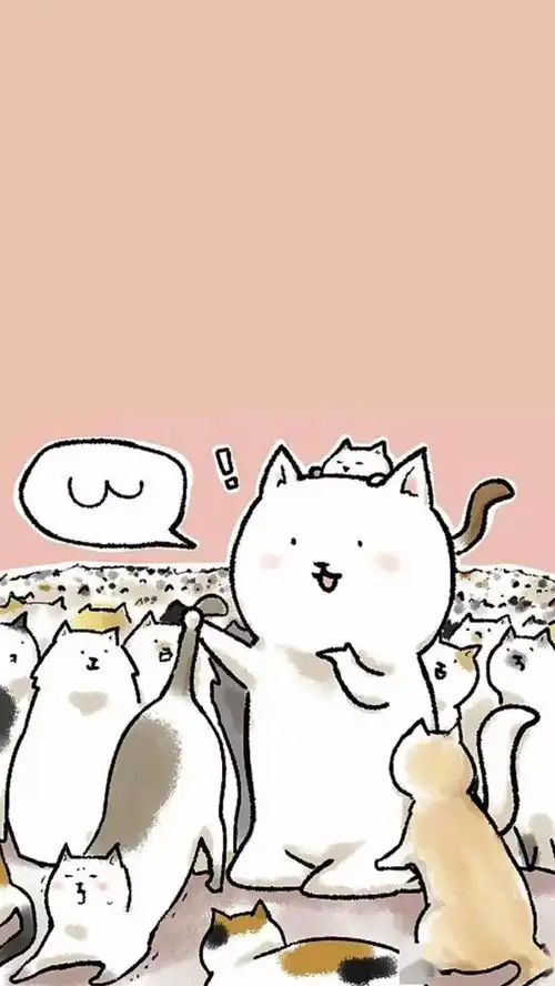  喵是时候更新你的壁纸啦