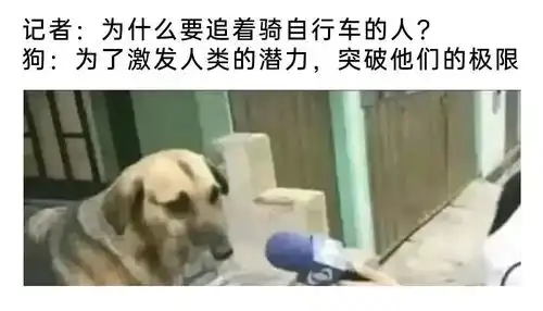  轻松一刻把手榴弹当锤子,你大妈还是你大妈