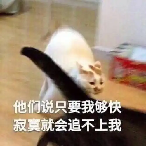  看这一篇就够啦