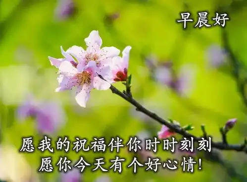  最美春天风景早安问候祝福语图片带字温馨