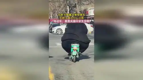 大胖子骑着共享电单车,在路上溜达引人注意,电动车真是夹缝中求生存啊  大胖子骑着共享电单车,在路上溜达引人注意,电动车真是夹缝中求生存啊