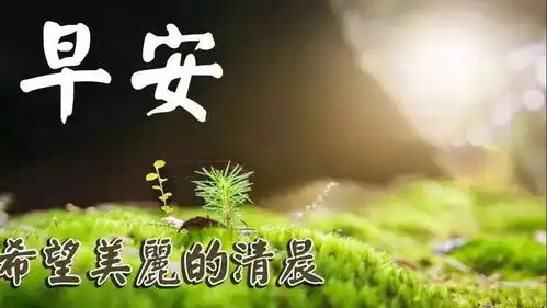  春分早上好问候语阳光句子早上好图片动态表情包