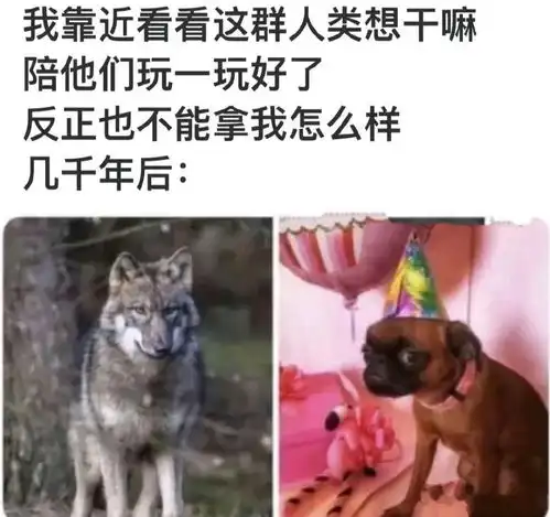  无标题