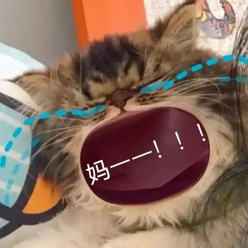  遇事不决先喊妈
