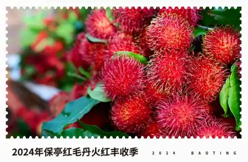  亭好玩亭好看亭好吃这周六,红丹丹约你来保亭开启甜蜜之旅凤凰网海南凤凰网
