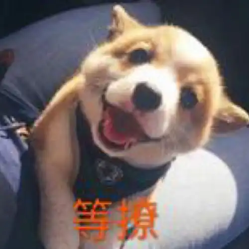  后端开发职位已暂停招聘猎聘网