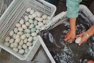  哭着喊着买不到的双蛋黄大肉粽,又上架了