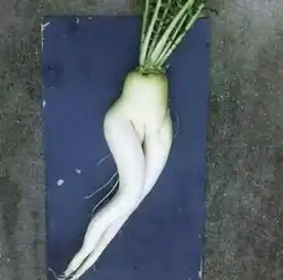  你只是颗菜,没事长这么搞笑干嘛