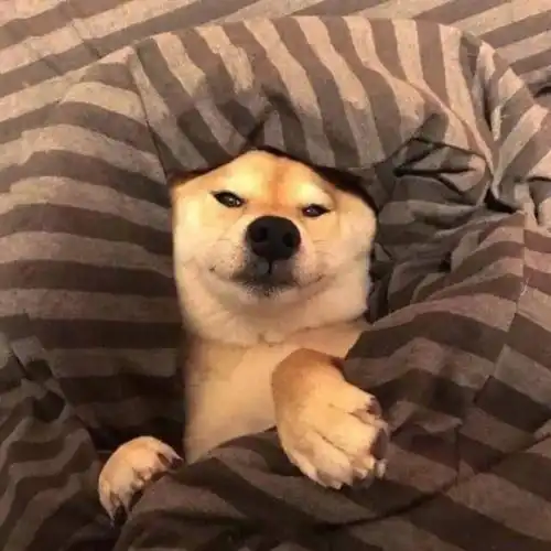 搞笑段子不是你胖,是这个电脑的显示器有点大,把图像放大了  搞笑段子不是你胖,是这个电脑的显示器有点大,把图像放大了