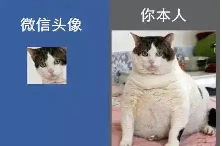  前方高能预警一大波爆笑图片正朝你袭来,你准备好了吗