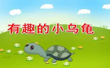  有趣的小乌龟ppt课件教案图片
