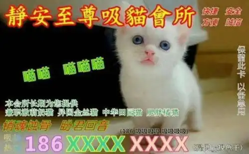  现在竟然有专门吸猫的会所10张恶搞的猫咪图片刷新你的三观