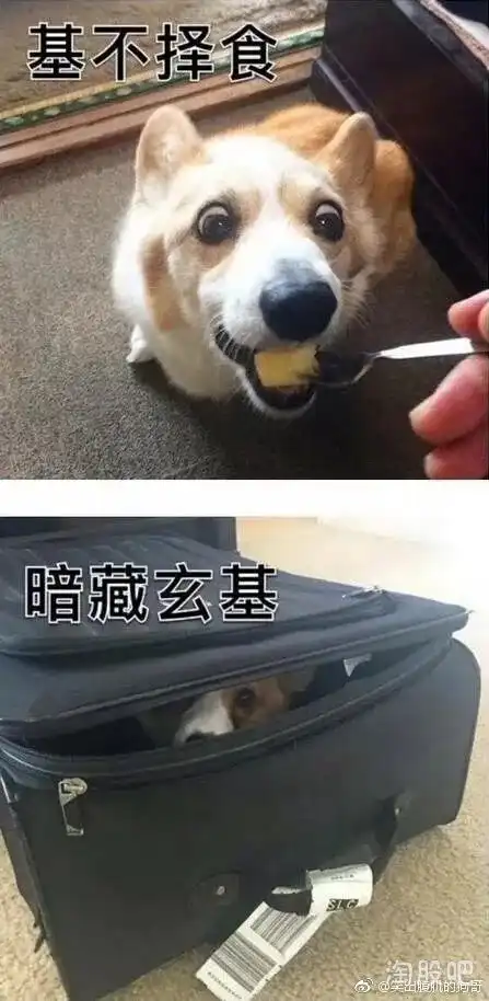  看图猜成语,没毛病哈哈哈哈太搞笑了