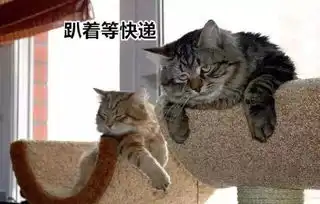  618欧曼在行动,确保每一件快递都能准时送达