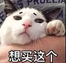  圣达地板喵星人的家,美cry主人,赶紧铺木地板啊