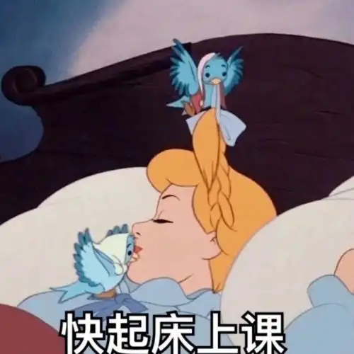 嗨美丽的姑娘表情包茶里