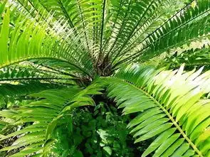 母胎单成齐天大剩算什么他已单身几百年,即将永远找不到对象 母胎单成齐天大剩算什么他已单身几百年,即将永远找不到对象