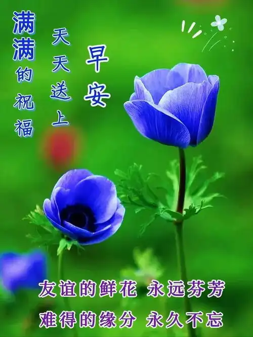  10月18日早安漂亮图片大全,温馨早安问候祝福语
