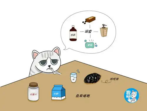  辟谣猫咪中毒别急着给它催吐,不搞清中毒原因可能会2次伤害
