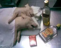  愿你快乐每一天_冲浪手户外运动俱乐部图片集锦_汽车论坛-易车网