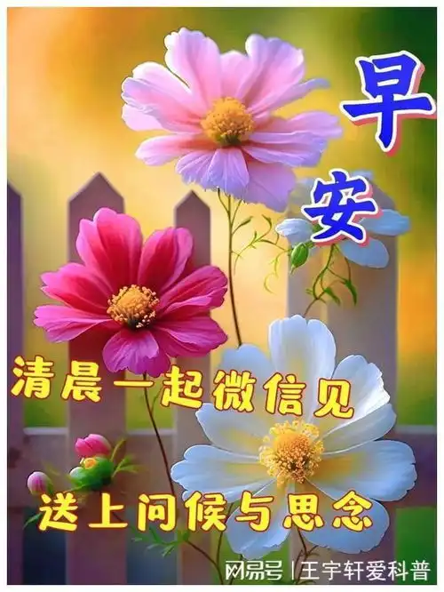  努力追求梦想的早安励志短句,经典走心,越看越喜欢